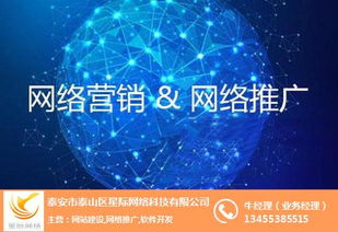 泰安百家號市場怎么樣 泰安百家號 星際網絡 查看